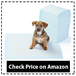 AmazonBasics Puppy Pads