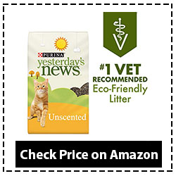 Purina Yesterday's News Unscented Litter