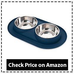 Bonza Double Pet Feeding Station