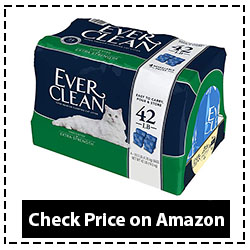 Ever Clean Extra Strength Cat Litter