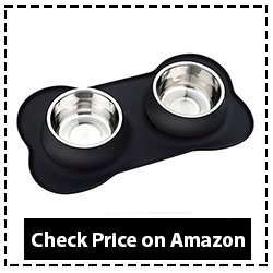 URPOWER Dog Bowls Stainless Steel