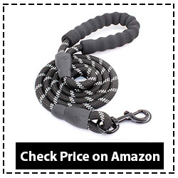 BAAPET Strong Dog Leash