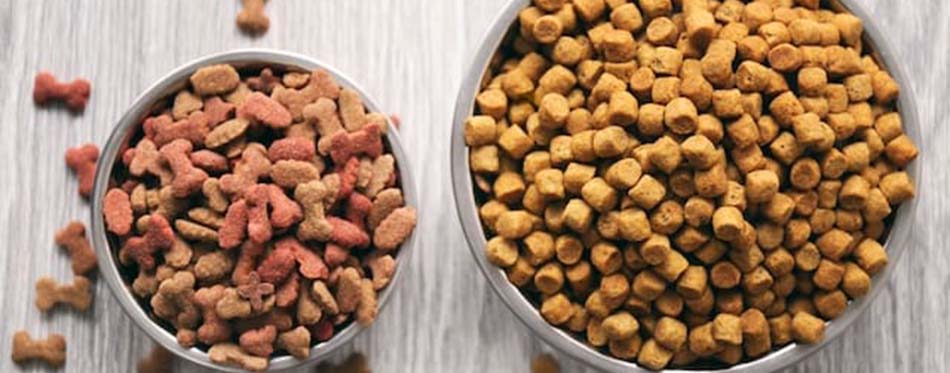 Best Dog Foods