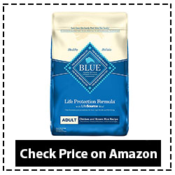 Blue Buffalo Dry Dog Food