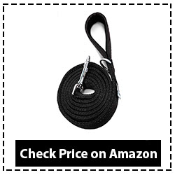 Dutchy Brand Heavy-Duty Dog Leash