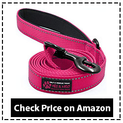 Max and Neo Reflective Nylon Dog Leash