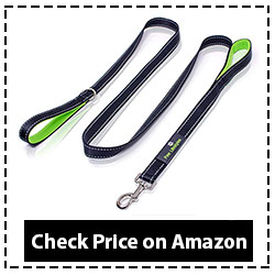 Paw Lifestyles Heavy Duty Dog Leash