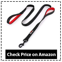 Primal Pet Gear Dog Leash