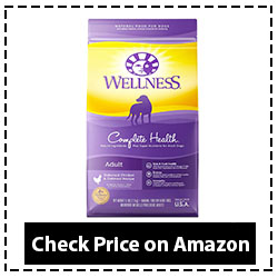 Wellness Complete Health Natural Dry Dog Food