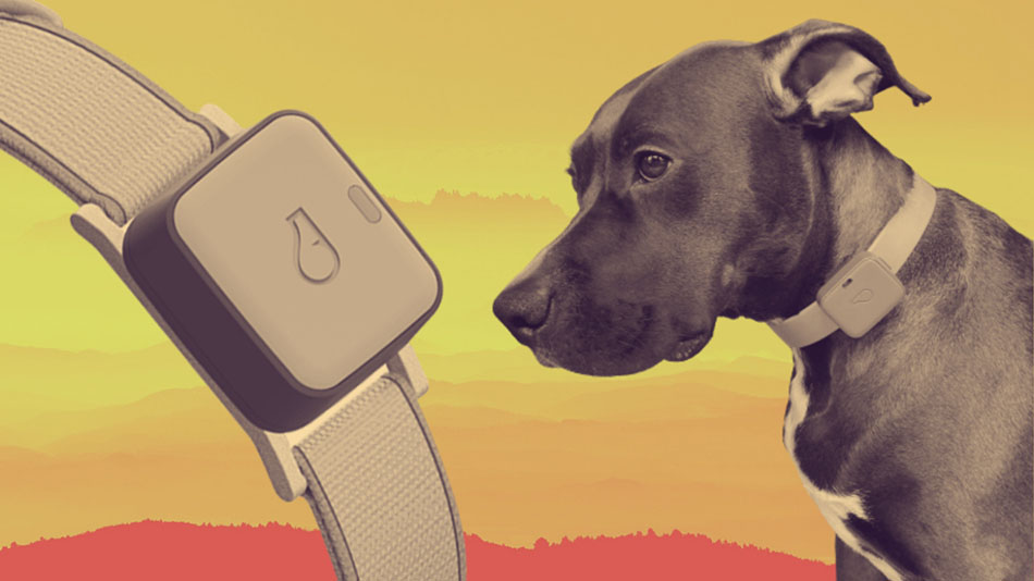 Smartwatches for Pets